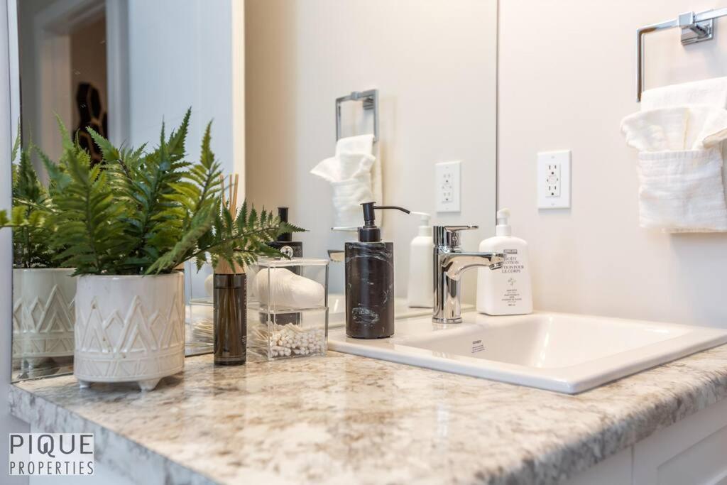 New, Mountain Chic Suite, Whyte Avenue, Netflix, Wifi, Sleeps 6